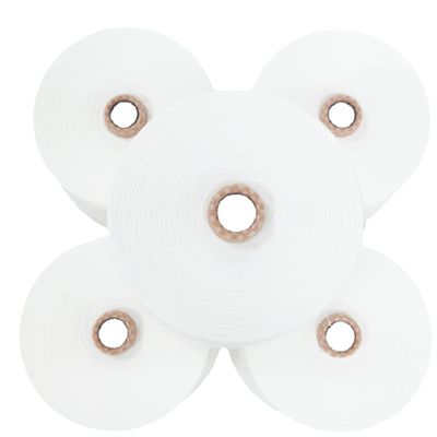 100% Viskose Ne30/1 Siro Compact Spund Garne für Gewebe und Strickzeug